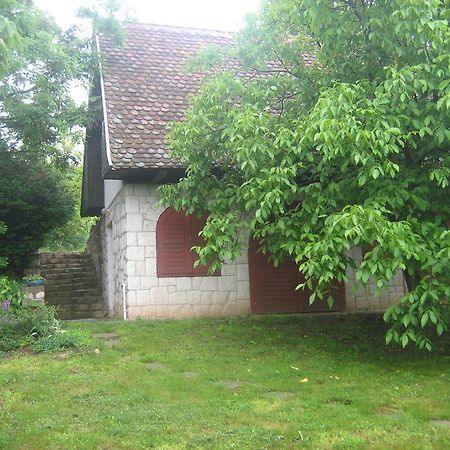 Hotel Myrtus Pince Es Vendeghaz Tarcal Zewnętrze zdjęcie