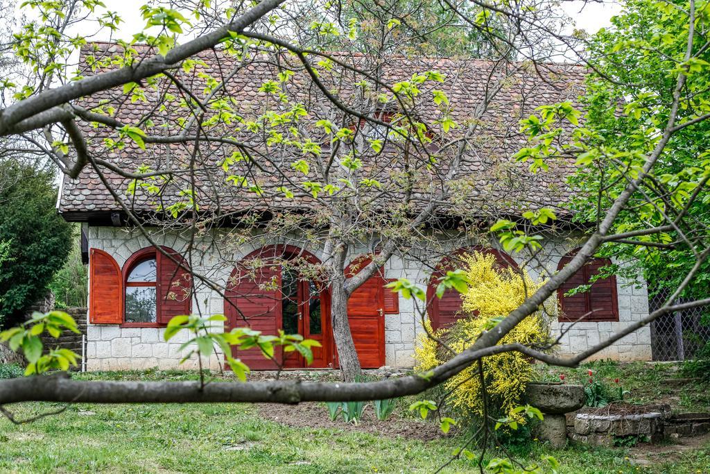 Hotel Myrtus Pince Es Vendeghaz Tarcal Pokój zdjęcie