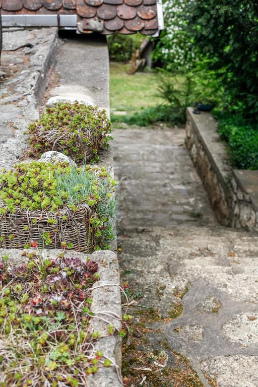 Hotel Myrtus Pince Es Vendeghaz Tarcal Zewnętrze zdjęcie