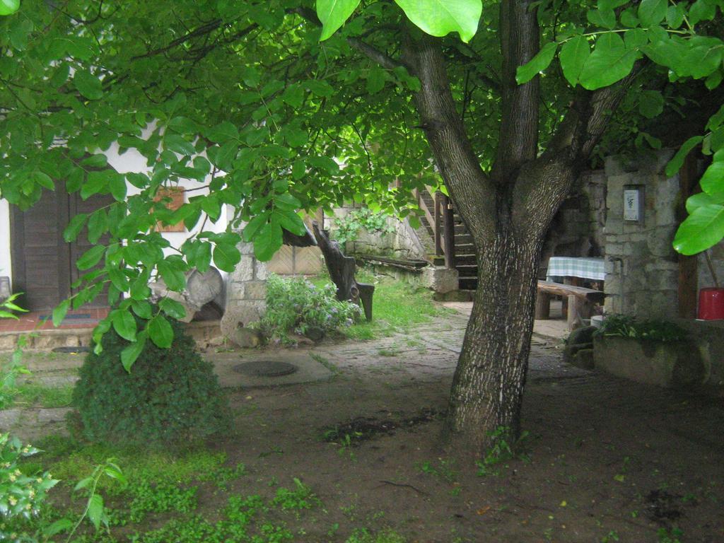 Hotel Myrtus Pince Es Vendeghaz Tarcal Zewnętrze zdjęcie